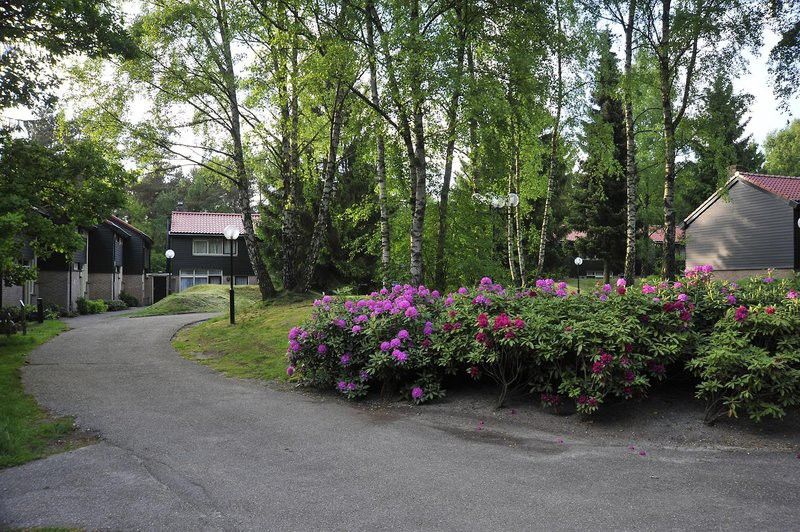 Fletcher Hotel Restaurant De Wipselberg-Veluwe Beekbergen Dış mekan fotoğraf